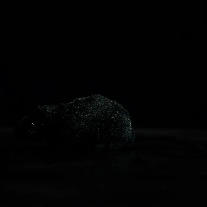 Super Soft Black Mouse Simulation Plush Toy