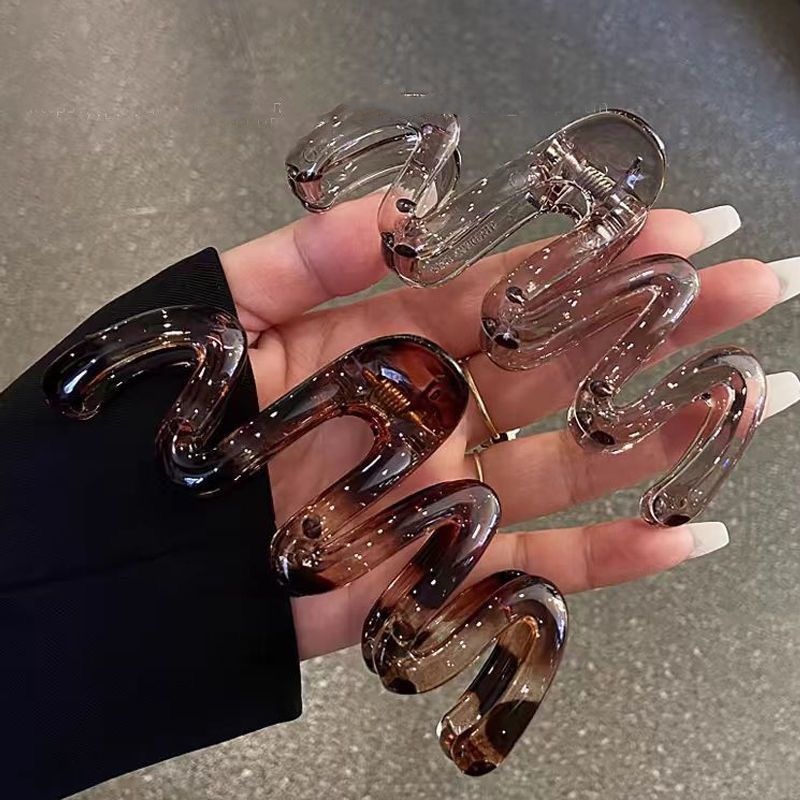 Niche Curve Barrettes Female Back Head South Korea 5