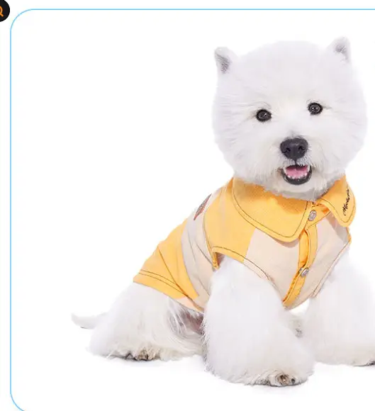 Dog Clothes Bichon Yorkshire Schnauzer Small Dog
