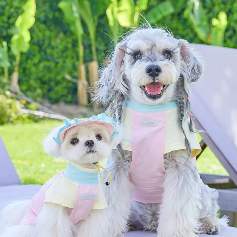 Cool Clothes Bichon Schnauzer Small Dog Clothes