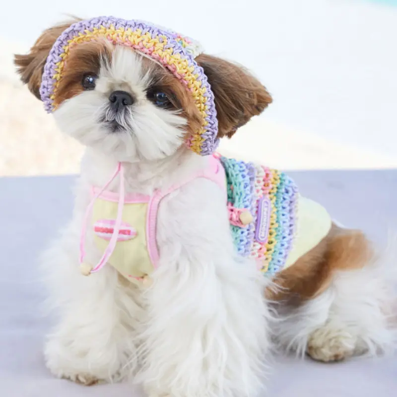 Dog Woven Sun Hat Summer Small Dog Yorkshire Bichon