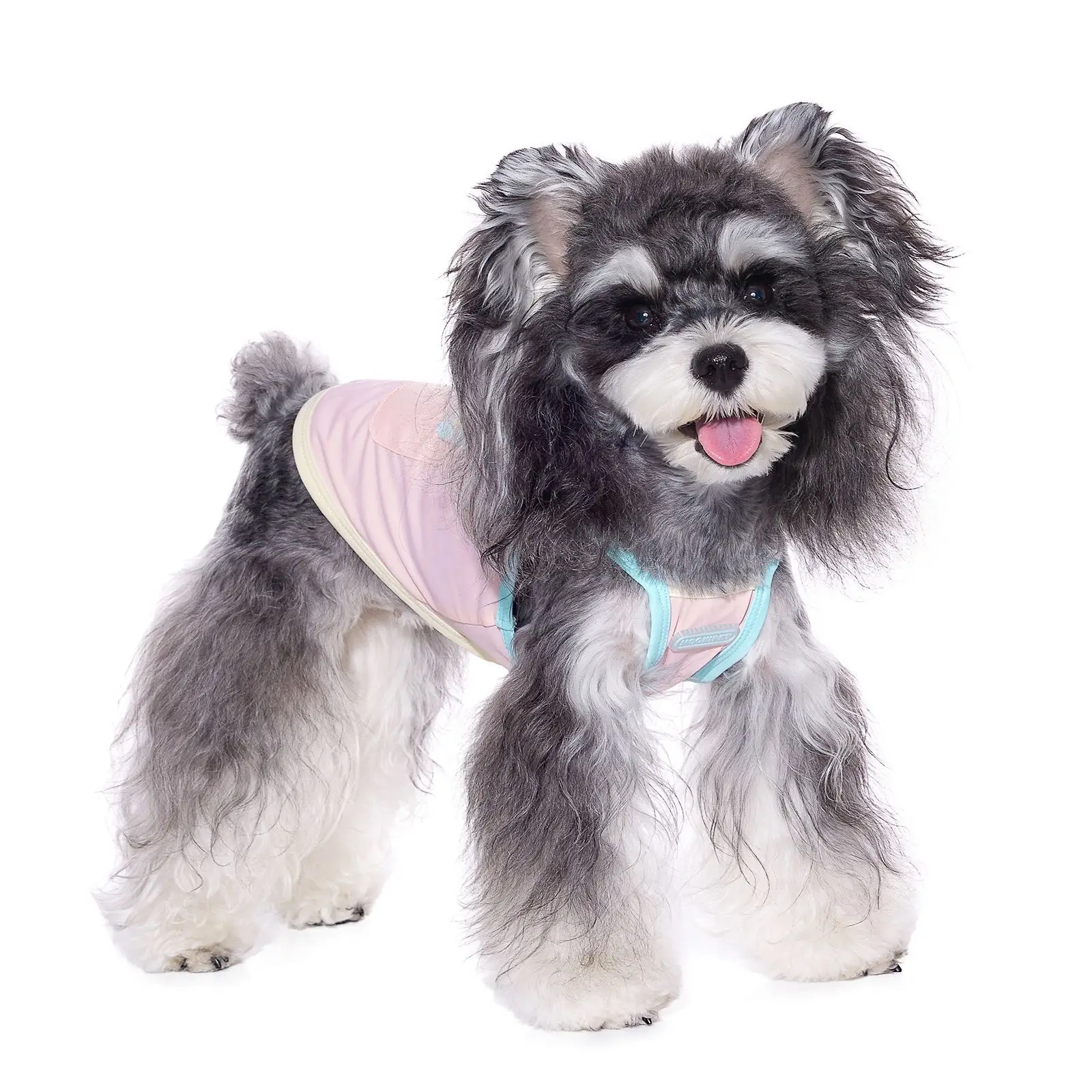 Cat Dog Summer Cool Clothes Pet Bichon Small Dog