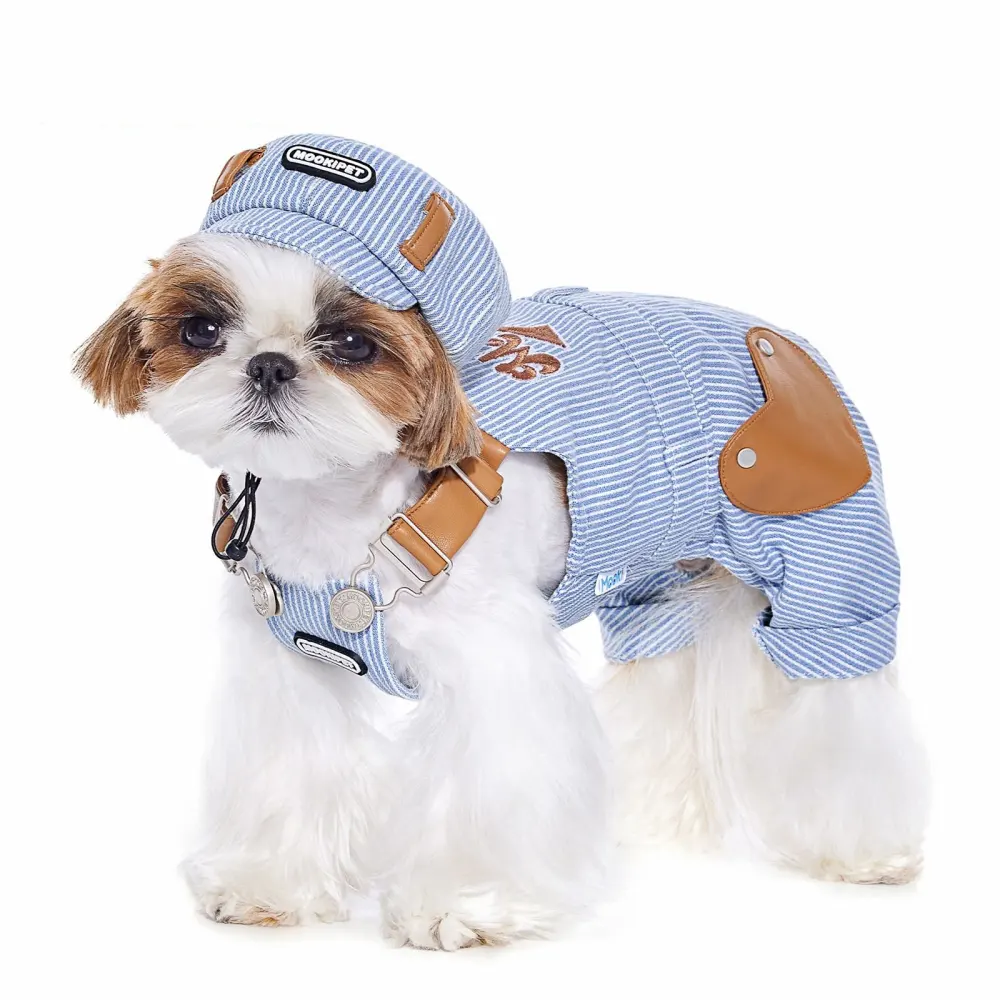 Four Seasons Universal Small Dog Bichon Schnauzer Pet Traction