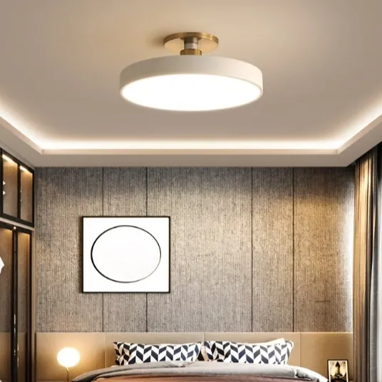 Modern Minimalist Acrylic Ring Ceiling Lamp Personality