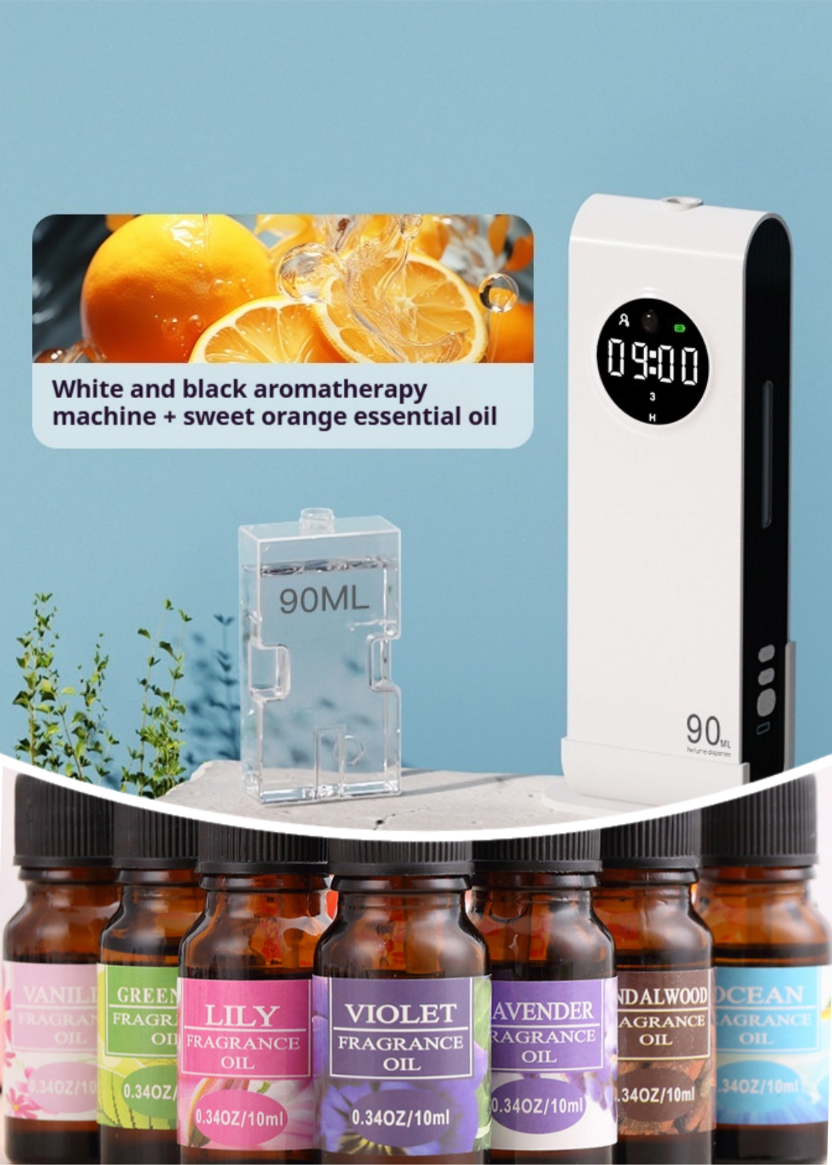 White And Black Sweet Orange