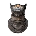 Civet Cat