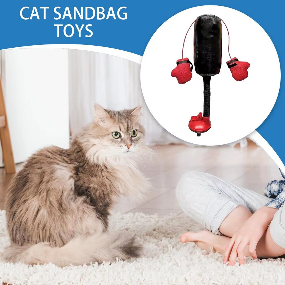 Portable Cat Punching Bag Toy Interactive Indoor Kitten Pet Supplies Koalakits36