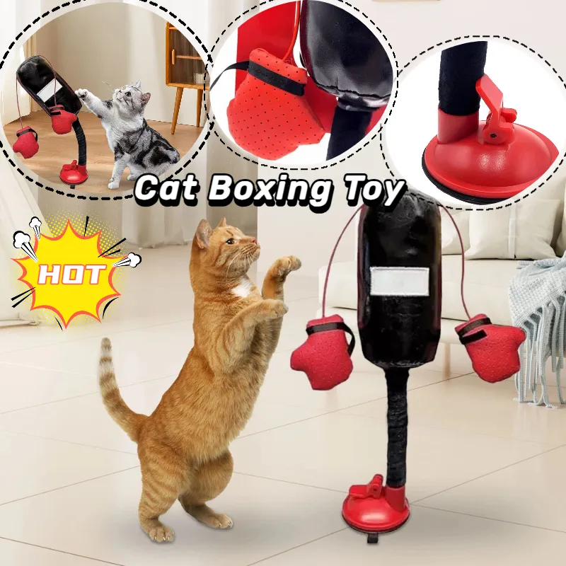 Portable Cat Punching Bag Toy Interactive Indoor Cats Kitten With