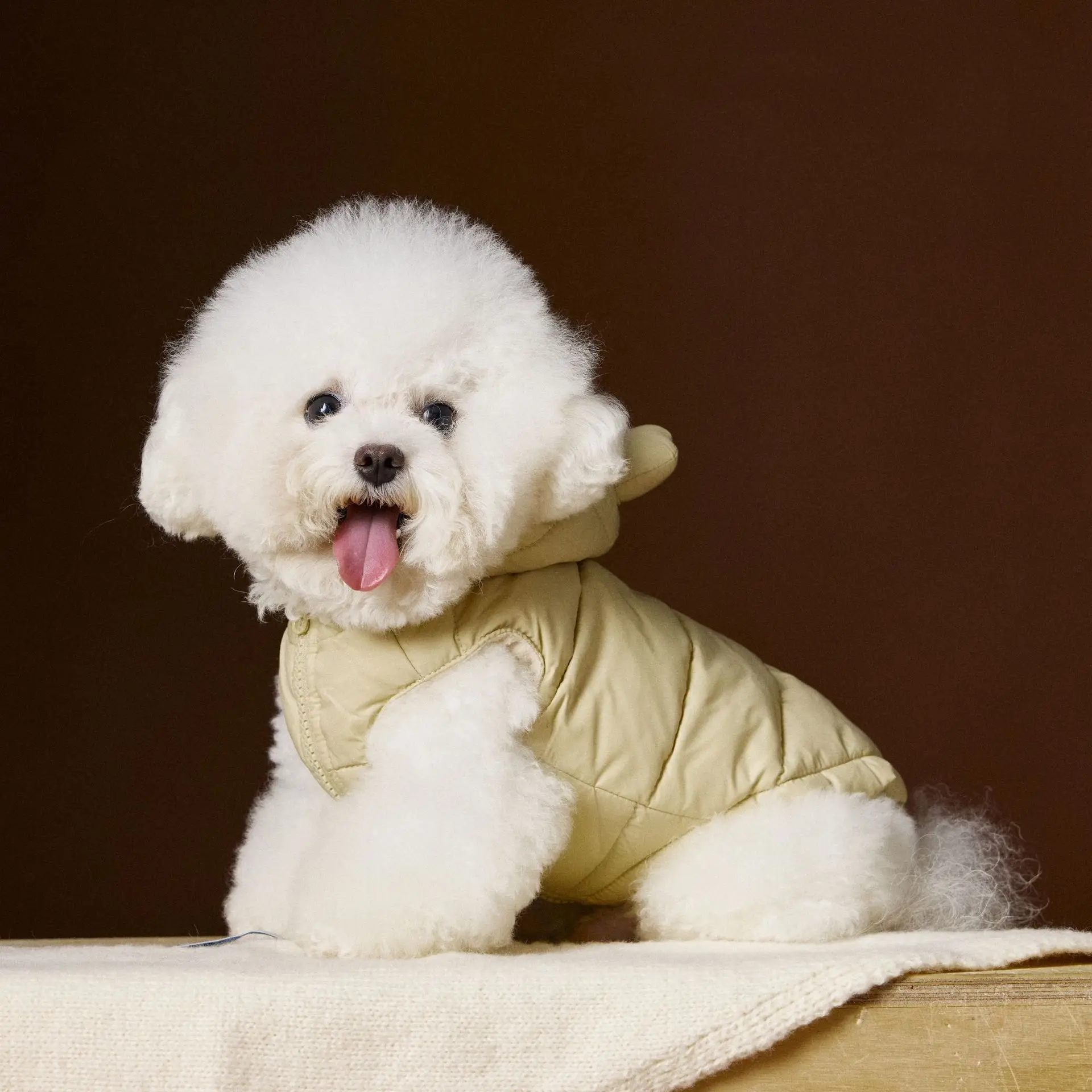 Warm Teddy Schnauzer Bichon Cute Sleeveless Hooded Down Vest
