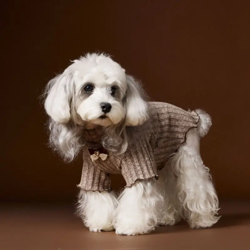 Teddy Schnauzer Bichon Maltese Lace Bow Bottoming Shirt