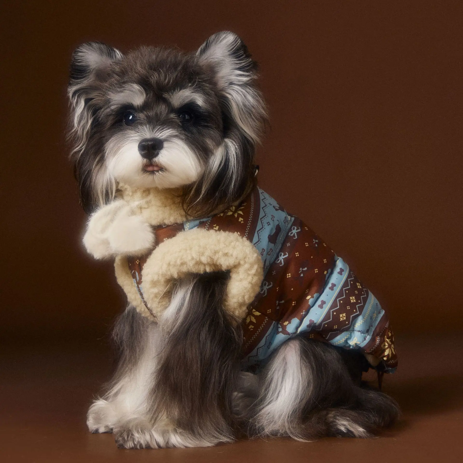 Schnauzer Bichon Teddy Fair Island Vest