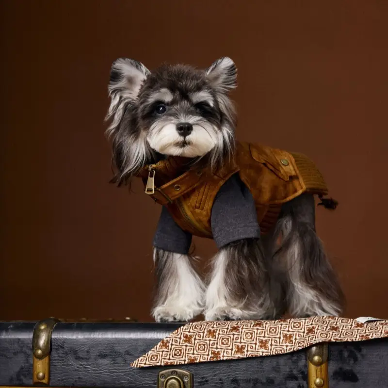 Schnauzer Teddy Bichon VIP Mid-ancient Handsome Retro Sleeveless Leather Waistcoat