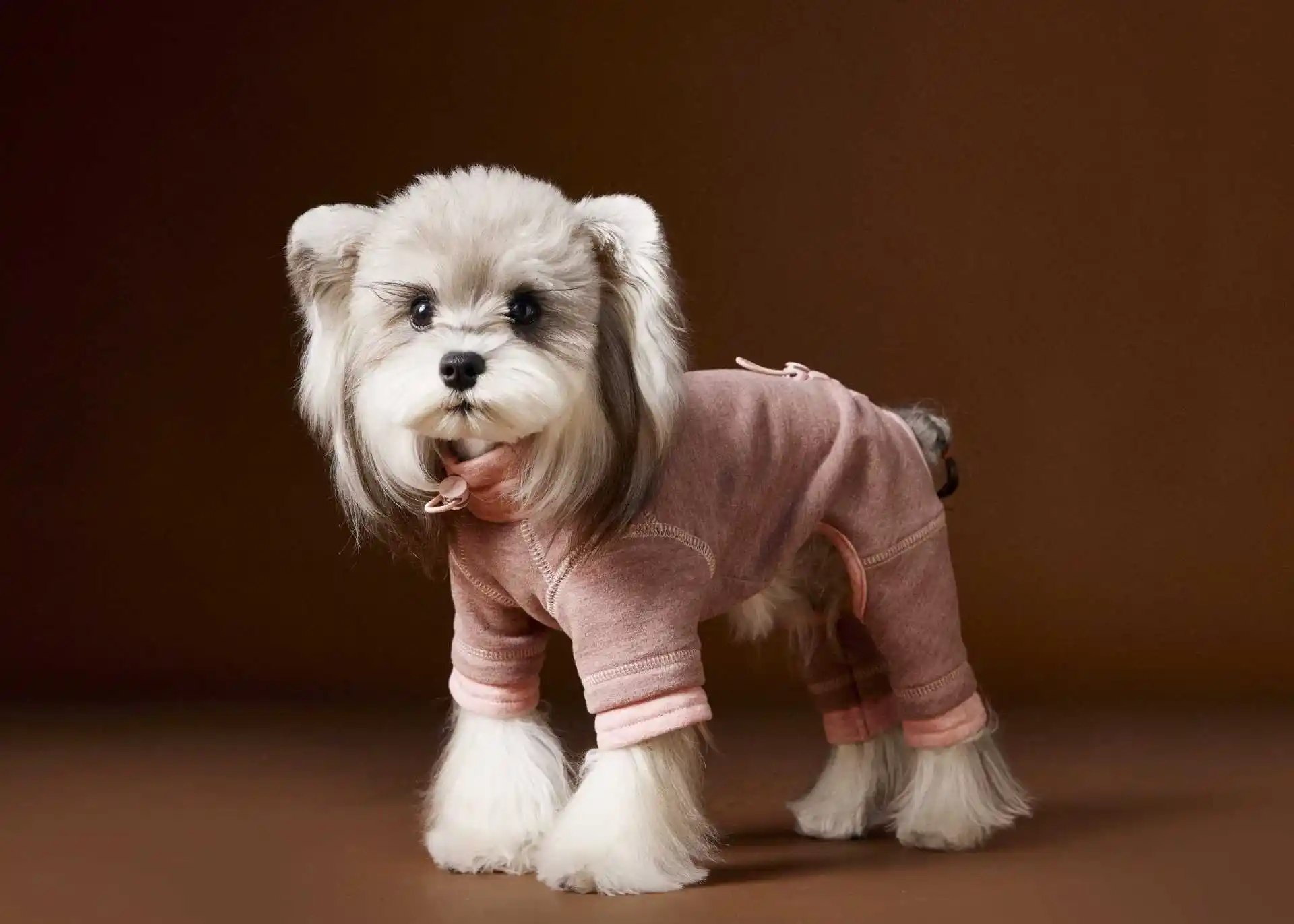 Dog Clothes Teddy Schnauzer Bichon Comfortable Contrast Color