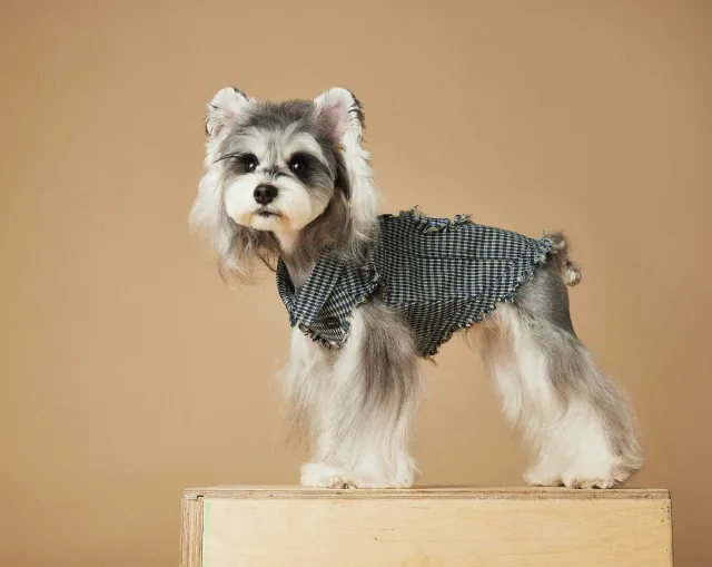 Spring And Autumn Washed Old Plaid Sleeveless Denim Vest Blue Without Shirt - Shop at LoveMi