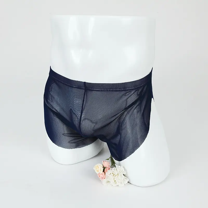 Men's Boxer Briefs Sexy Thin Mesh Sports Pants