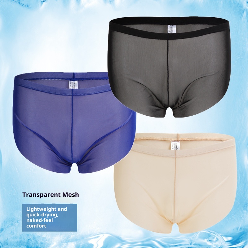 Men's Boxer Briefs Sexy Thin Mesh Sports Pants