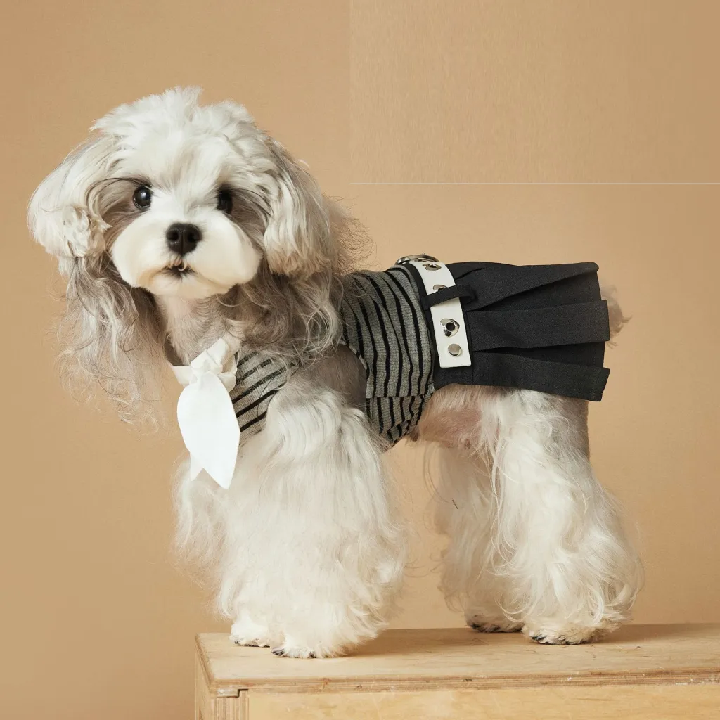 Dog Clothes Spring And Summer Striped Dress - Skirt