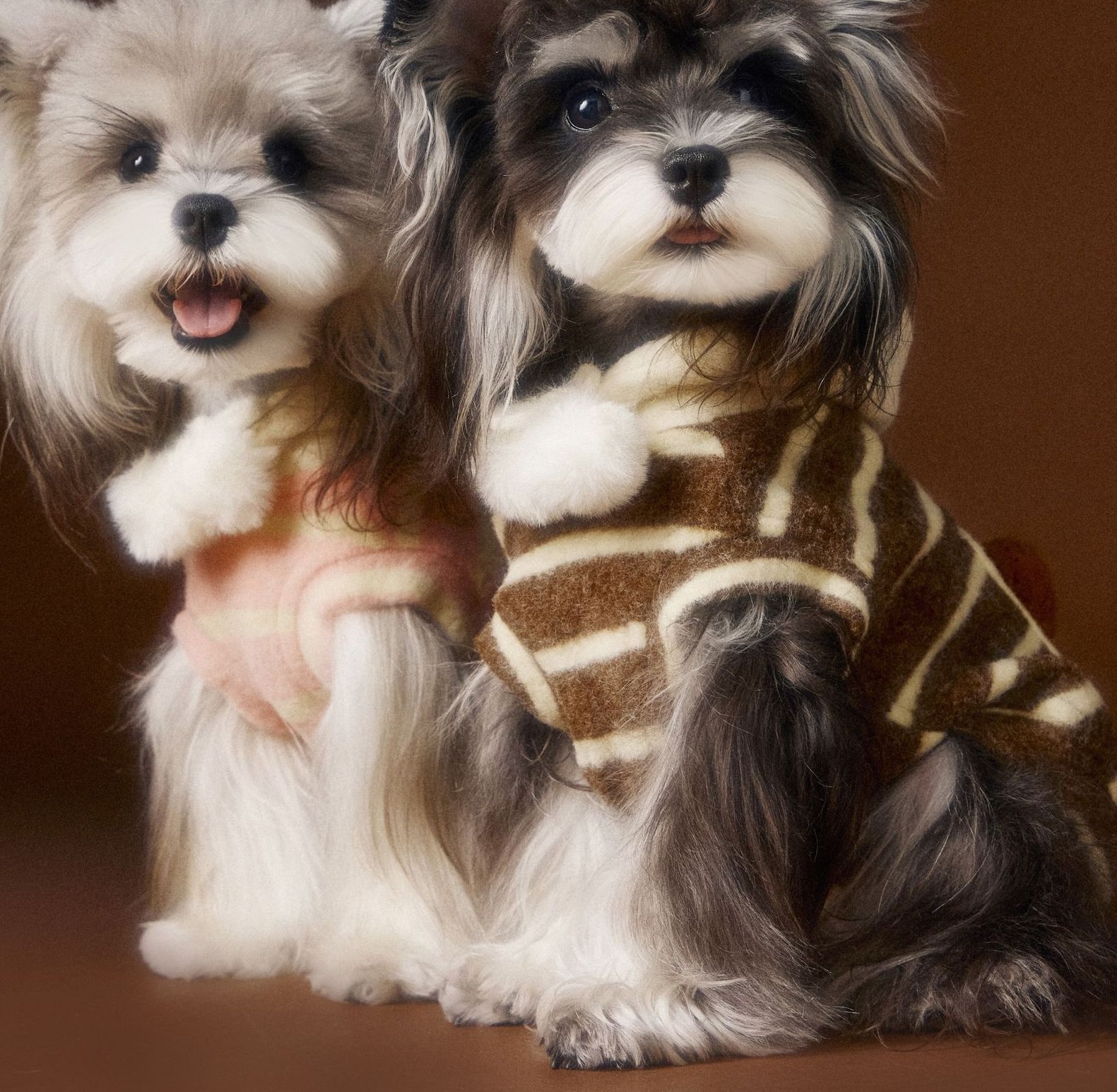 Pet Clothes Autumn And Winter Cute Felt Biscuit Sweater