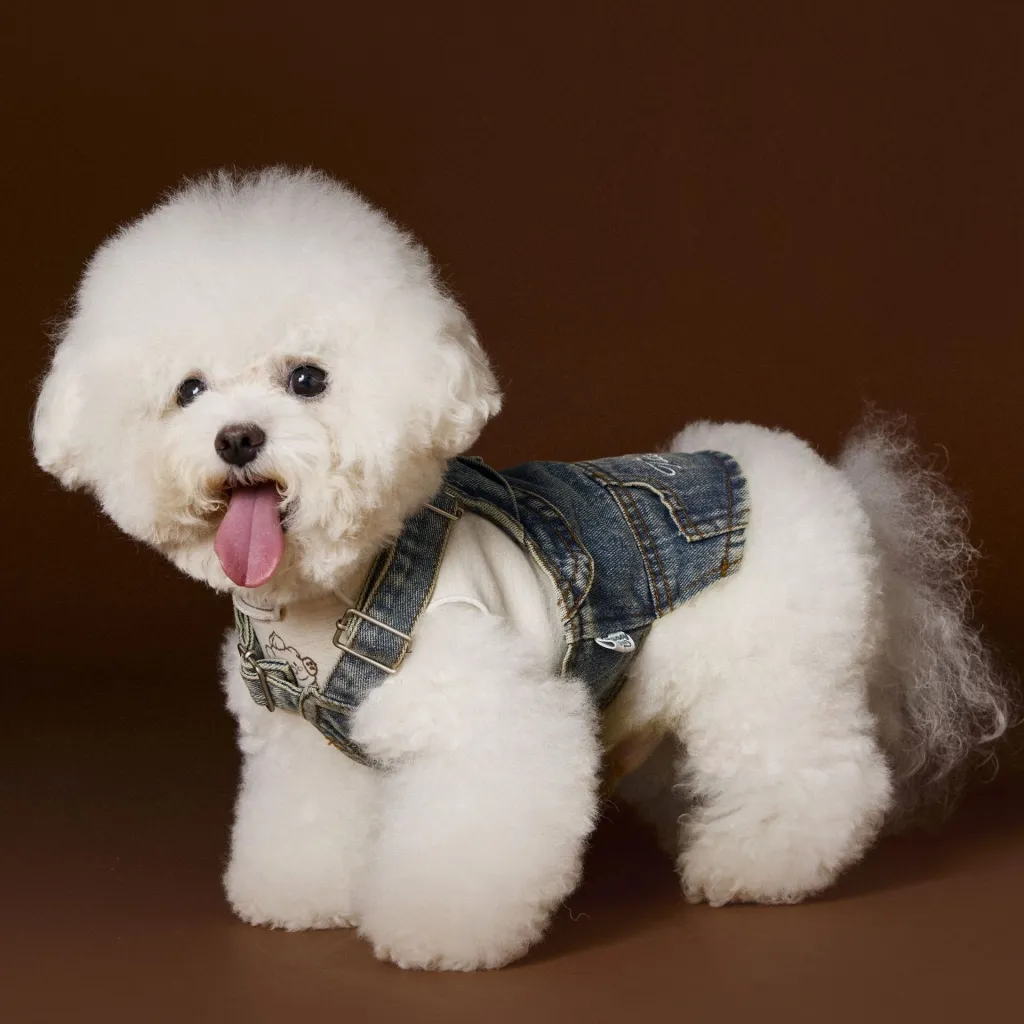 Teddy Bichon Small And Medium-sized Dogs Sleeveless New Denim Suspender Skirt - Denim Skirt Without Inner Wear