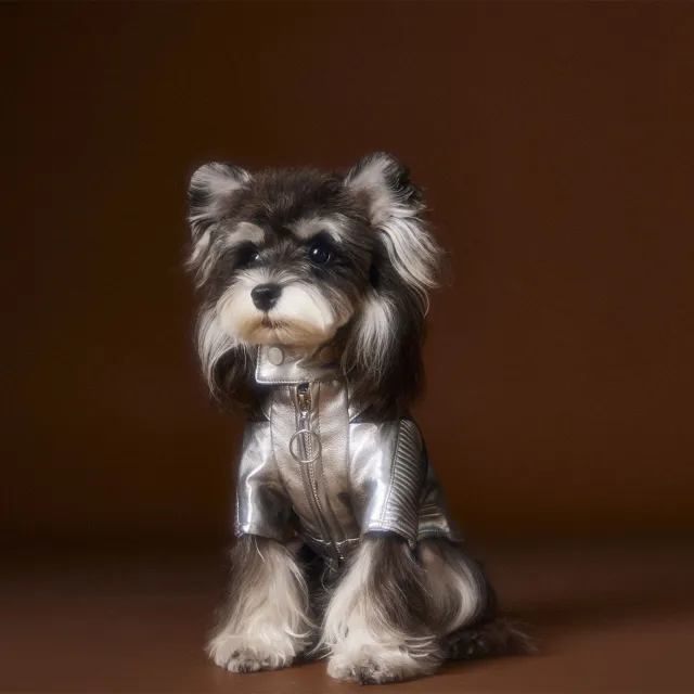 Teddy Schnauzer Bichon Handsome Distressed Silver Leather Coat Silver - Shop at LoveMi