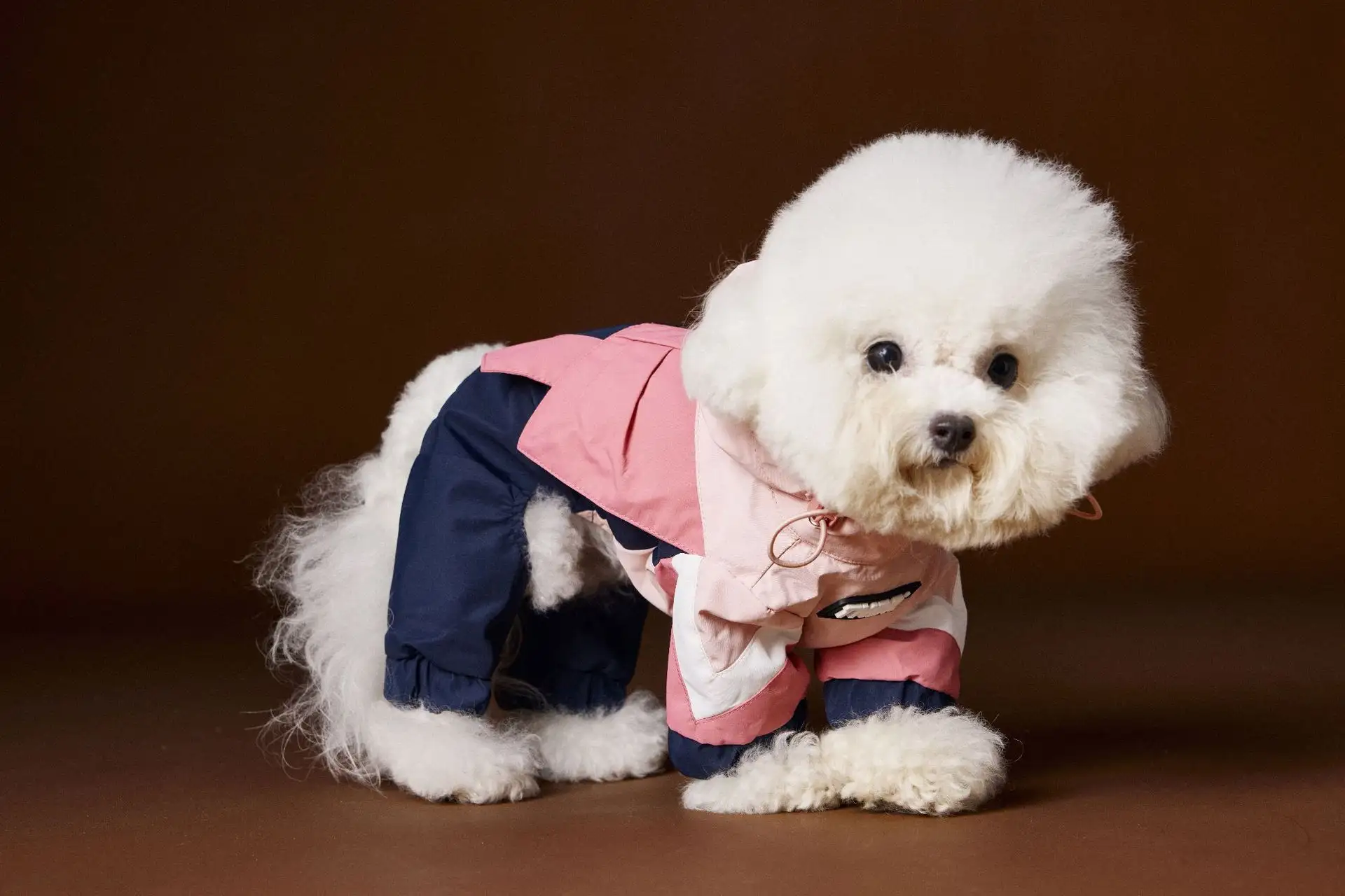 Bichon Schnauzer Teddy VIP Four-legged Sportswear With Traction Rope Buckle