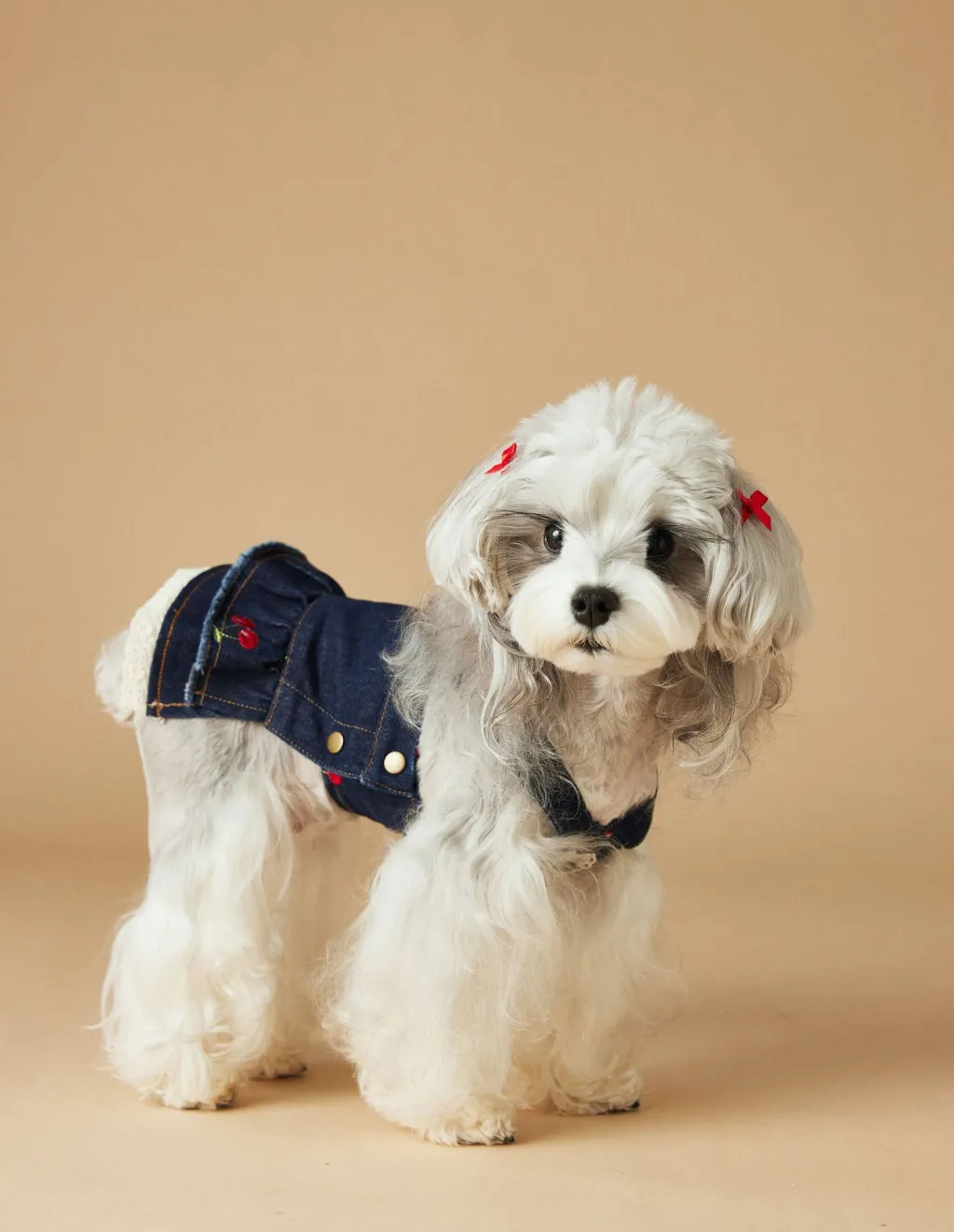 Female Canine Dog Clothes Spring And Summer Cherry Denim Dress - Navy Blue