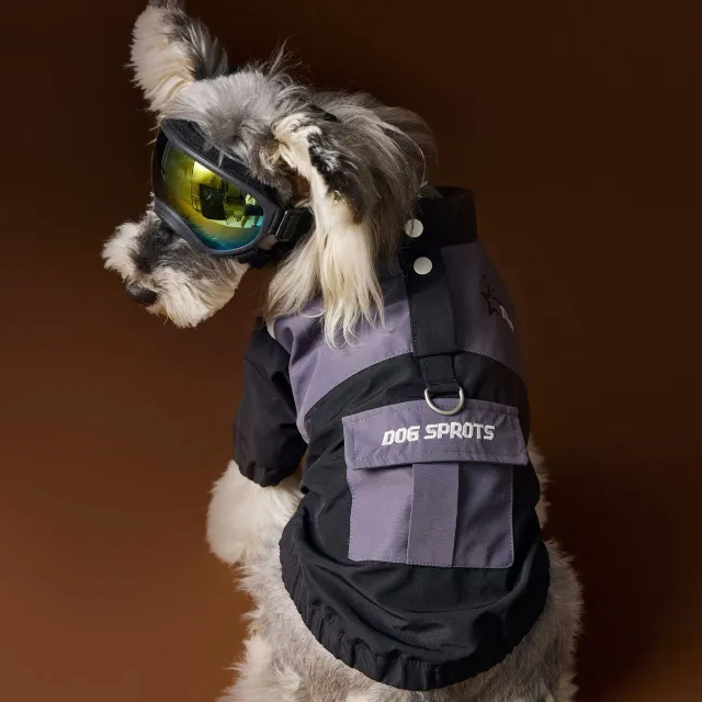 Male Dog Autumn Clothes Clothes Handsome Sportswear Picture Color Without Necklace - Shop at LoveMi