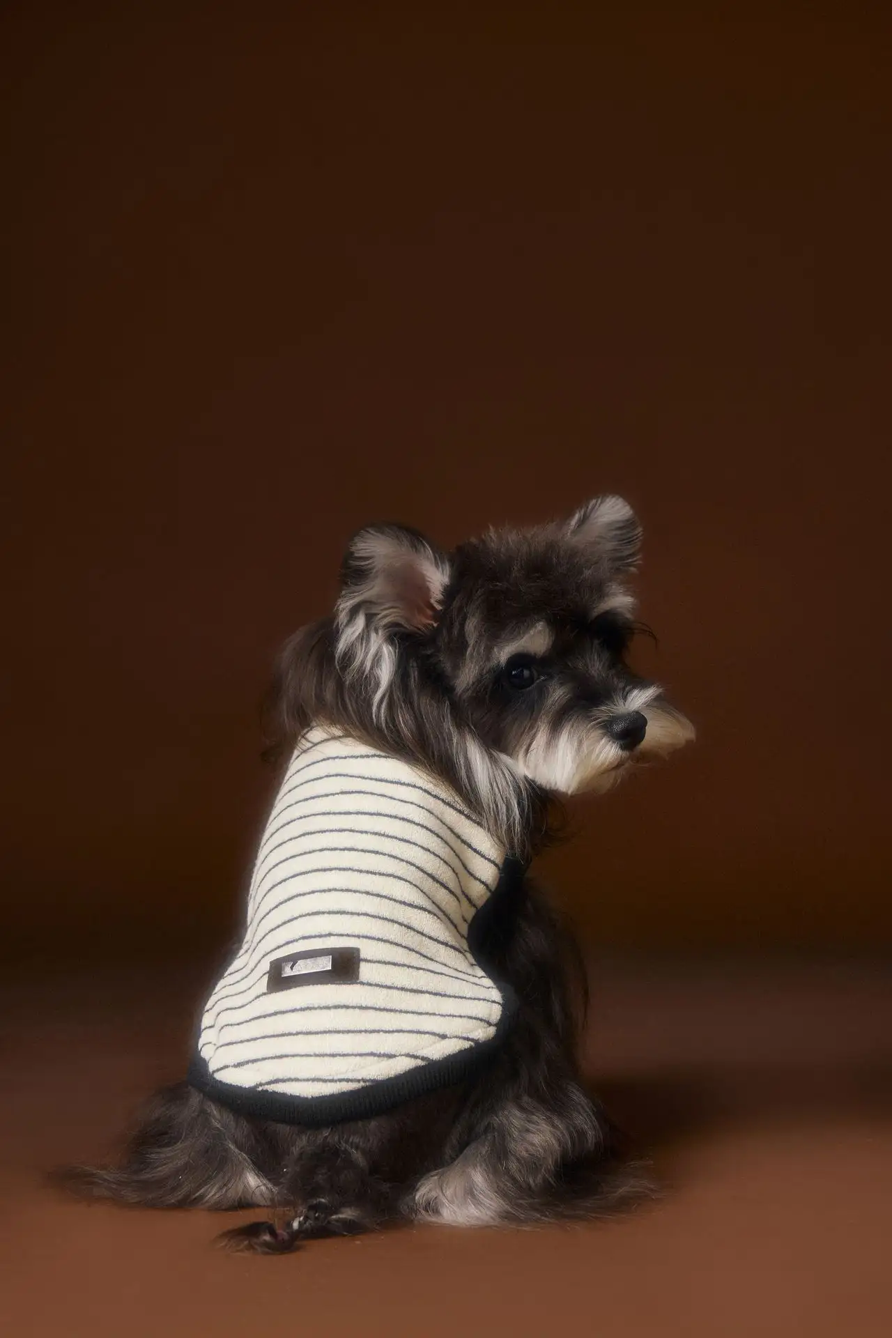 Teddy Bichon Maltese Yorkshire Striped Sleeveless Sweater
