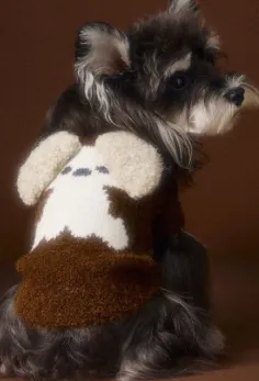 Autumn And Winter Sleeveless Teddy Schnauzer Bichon Puppy Head Three dimensional Ear Sweater Vest Coffee Color - Shop at LoveMi