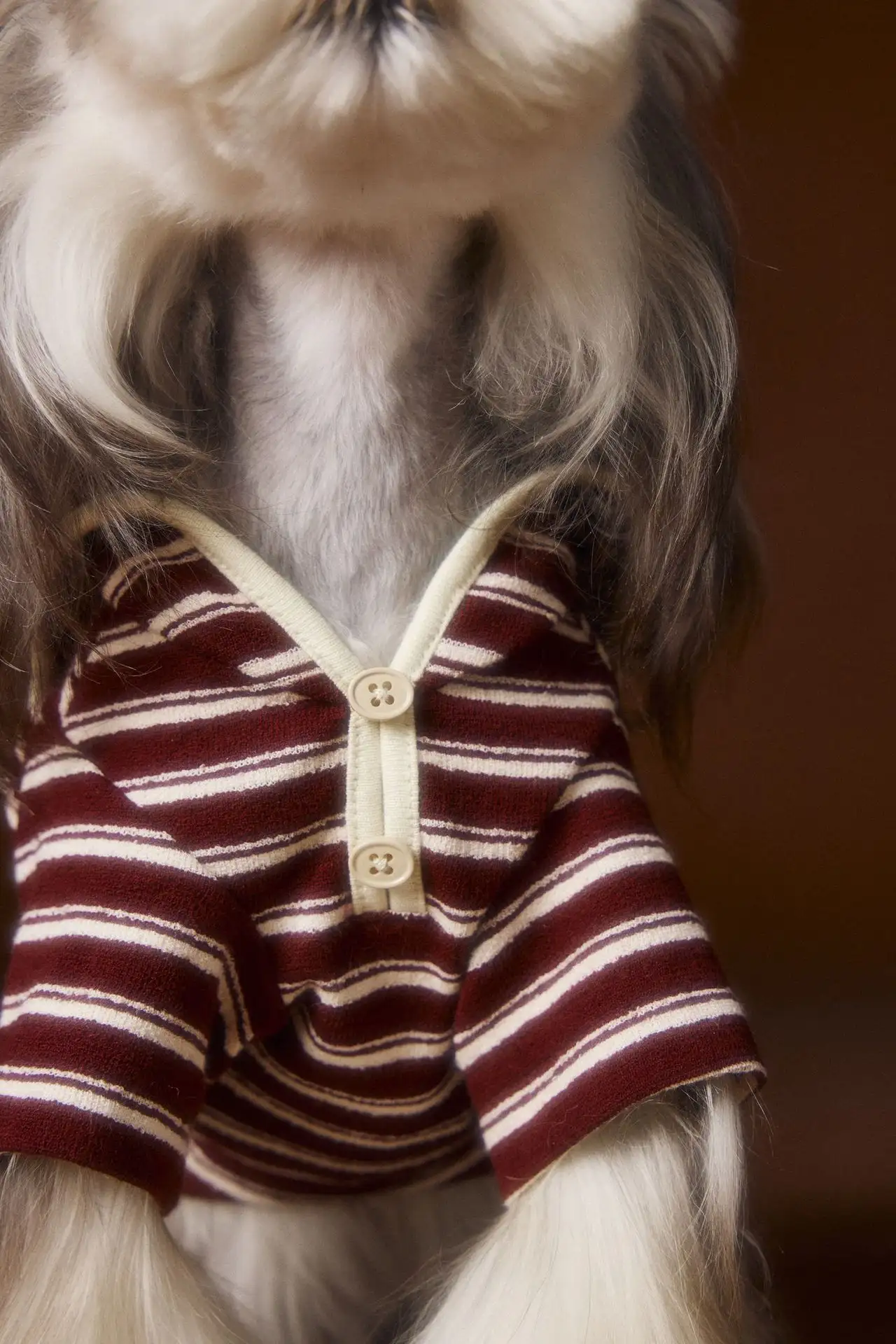 Teddy Bichon Maltese Striped Embroidered Sailor Collar Sweatshirt