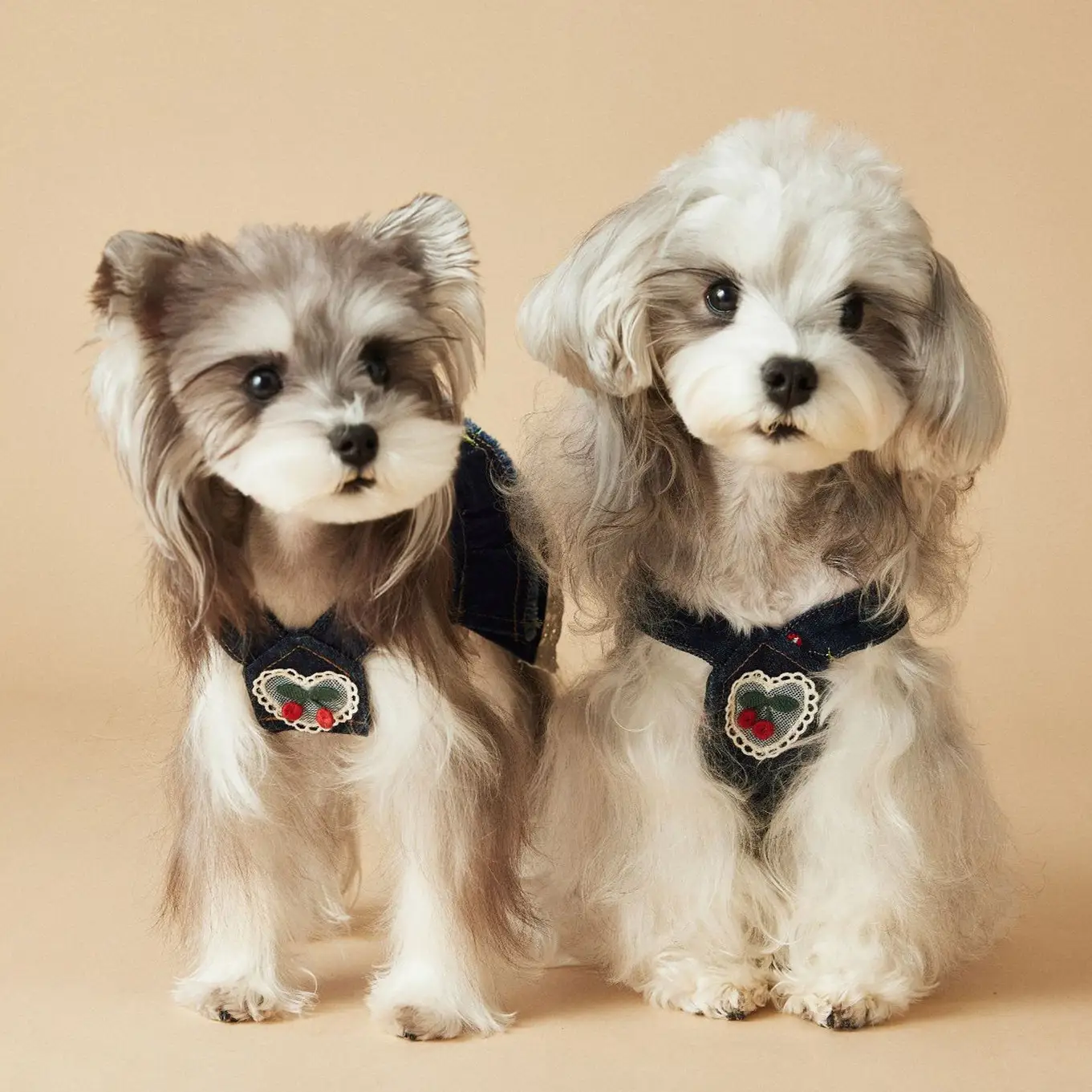 Female Canine Dog Clothes Spring And Summer Cherry Denim Dress