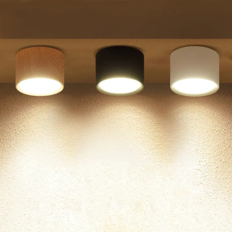 Surface Mounted Downlight Led Aisle Ceiling Lamp