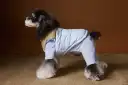 Blue Vest Without Inner Wear
