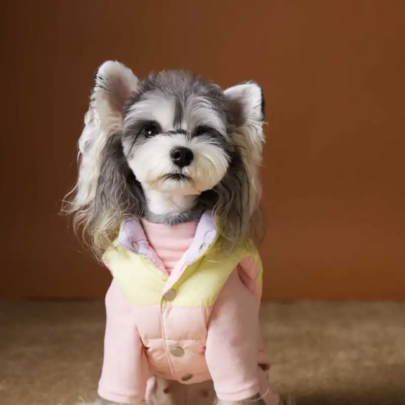Pet Dog Autumn And Winter Down Vest Teddy Schnauzer Bichon