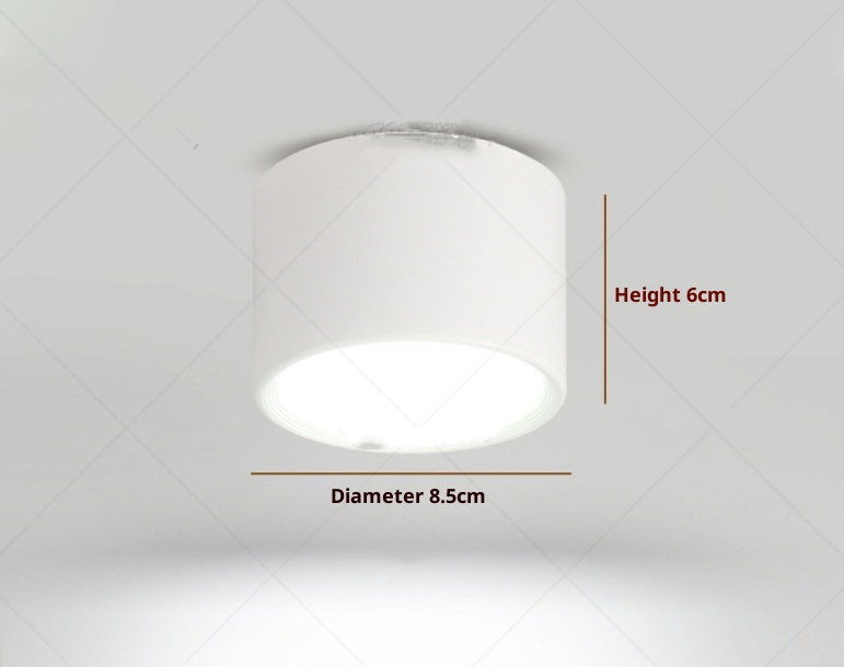 Surface Mounted Downlight Led Aisle Ceiling Lamp