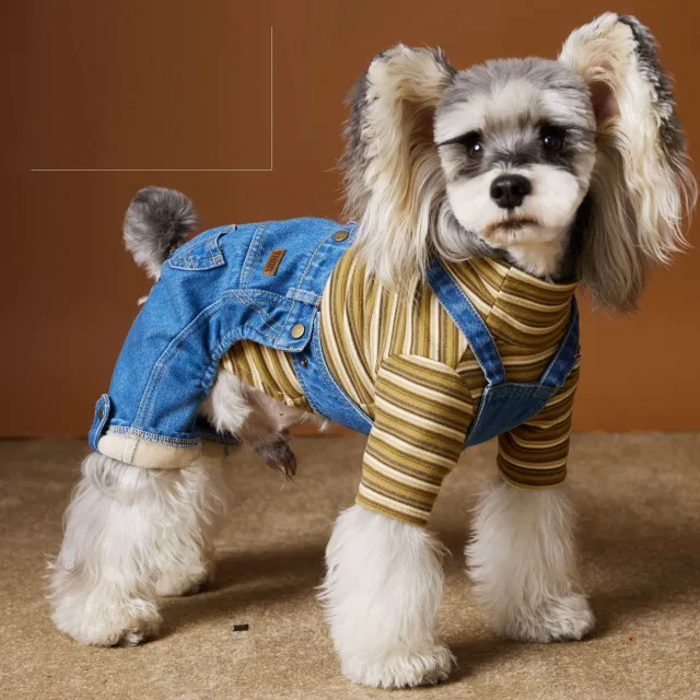 Dog Clothes Autumn And Winter Teddy Schnauzer Bichon Fleece lined Thickened Handsome Jeans Denim Blue - Shop at LoveMi