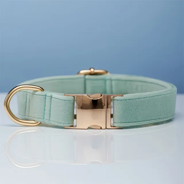Multiple Colour Velvet Personalise Dog Collar Leash Set With Bow Cyan - Shop at LoveMi