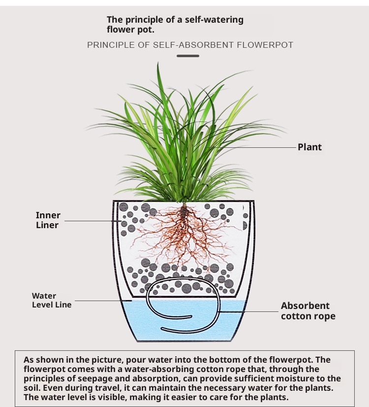 Plastic Flowerpot Automatic Water Feeding Scindapsus Aureus Bonsai