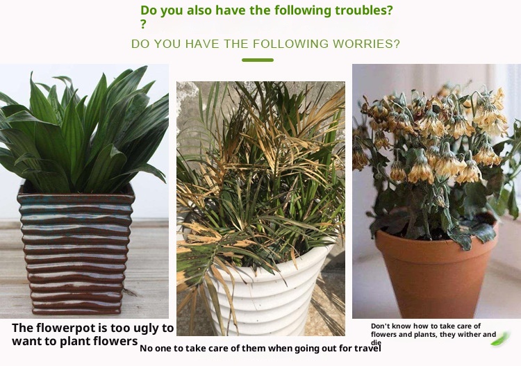 Plastic Flowerpot Automatic Water Feeding Scindapsus Aureus Bonsai