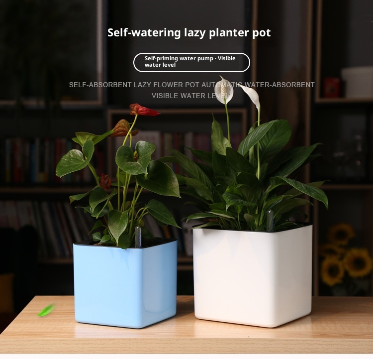 Plastic Flowerpot Automatic Water Feeding Scindapsus Aureus Bonsai