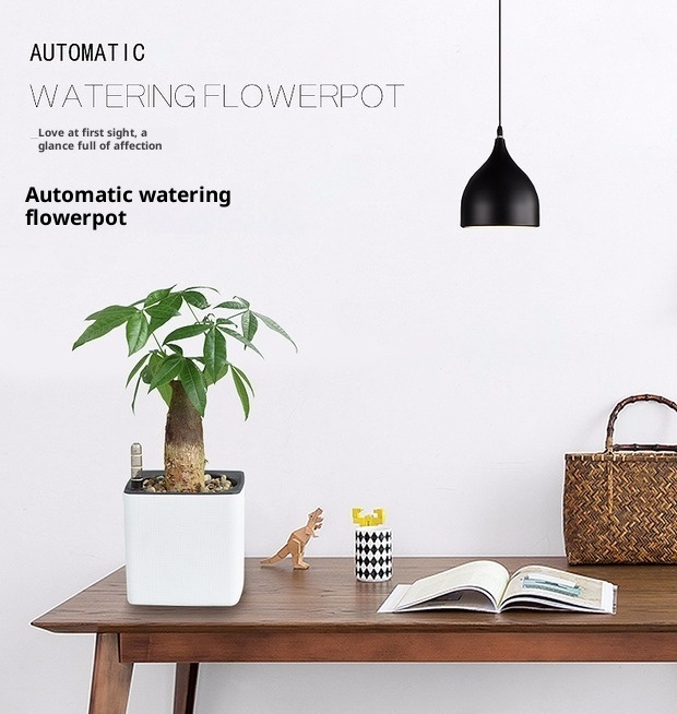 Plastic Flowerpot Automatic Water Feeding Scindapsus Aureus Bonsai