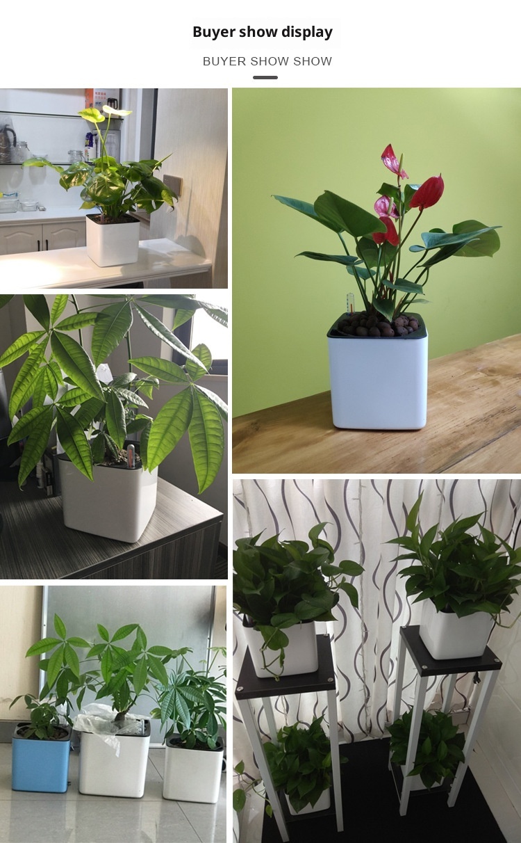 Plastic Flowerpot Automatic Water Feeding Scindapsus Aureus Bonsai