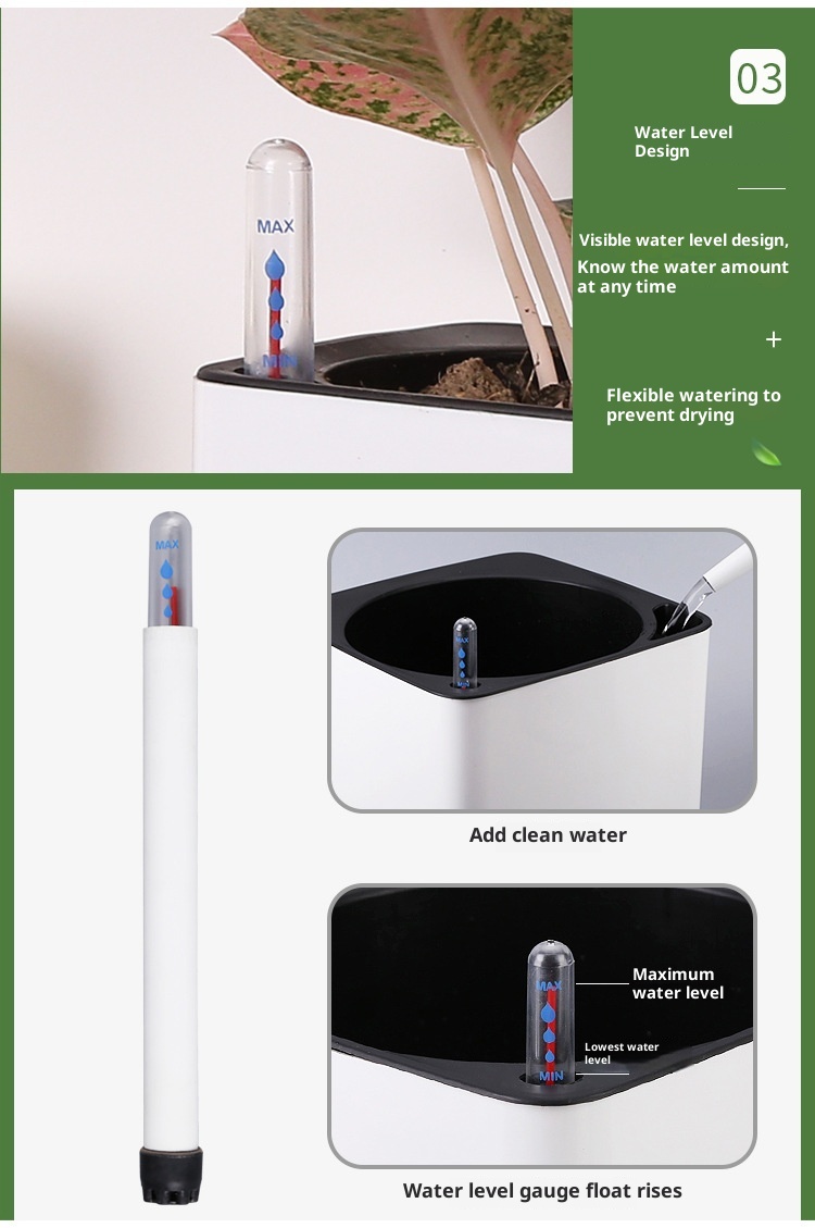 Plastic Flowerpot Automatic Water Feeding Scindapsus Aureus Bonsai