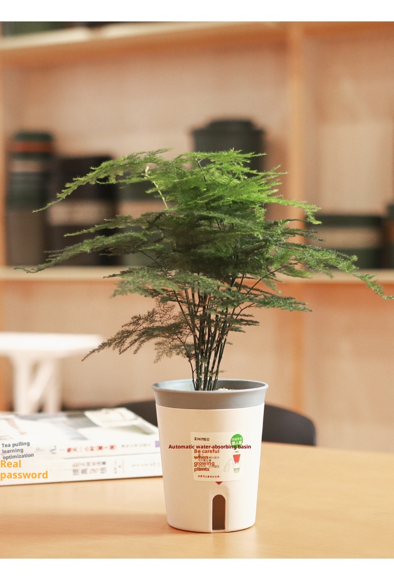 Plastic Flower Pot Creative Double-layer Water Storage Self-absorbent Plant Flowerpot