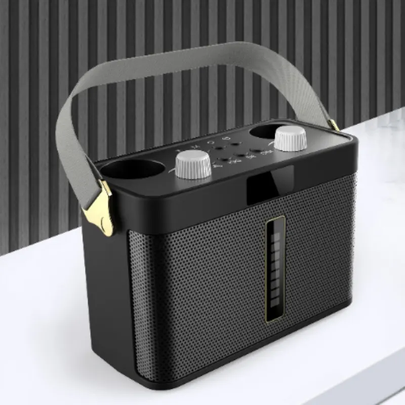 Outdoor Bluetooth Speaker Karaoke Double Microphone Classroom