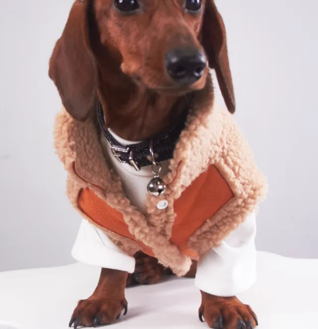 Pet Cat Clothes Winter Puppy Clothes Brown - Shop at LoveMi