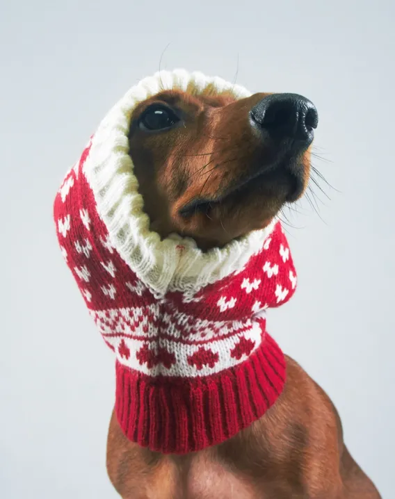 Puppy Cat Elastic Knitted Wool Ball Hat Festival Christmas Red - Shop at LoveMi