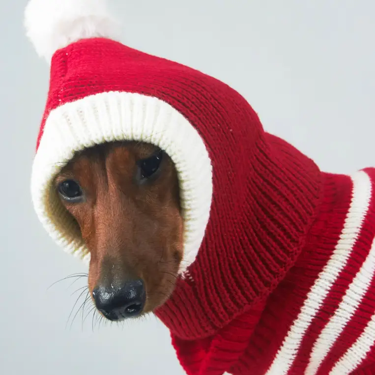 Puppy Cat Elastic Knitted Wool Ball Hat Festival