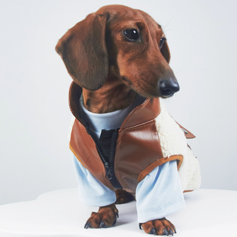 Dog Cat Pet Warm Autumn And Winter Small Leather Pocket