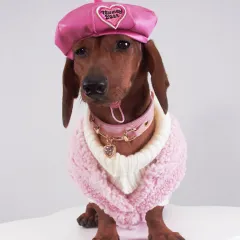 Autumn And Winter Dog Cat Pet Clothes Lambswool Vest - Pink - View 1